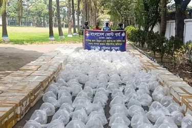 নারায়ণগঞ্জে পৌনে ২ কোটি টাকার চিংড়ি রেণু জব্দ