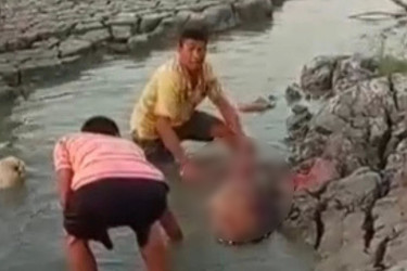 মিরসরাইয়ে চিত্রা হরিণ জবাইয়ের ঘটনায় তিনজন শনাক্ত