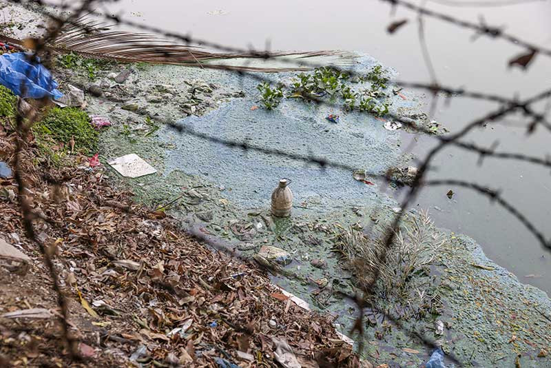বিষাক্ত আবর্জনায় মৃত্যুর মুখে ঢলে পড়ছে রাজধানীর লেকগুলো