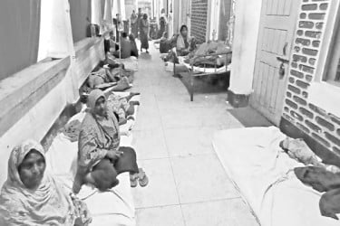 বেড়েছে রোগবালাই, ফসলহানি