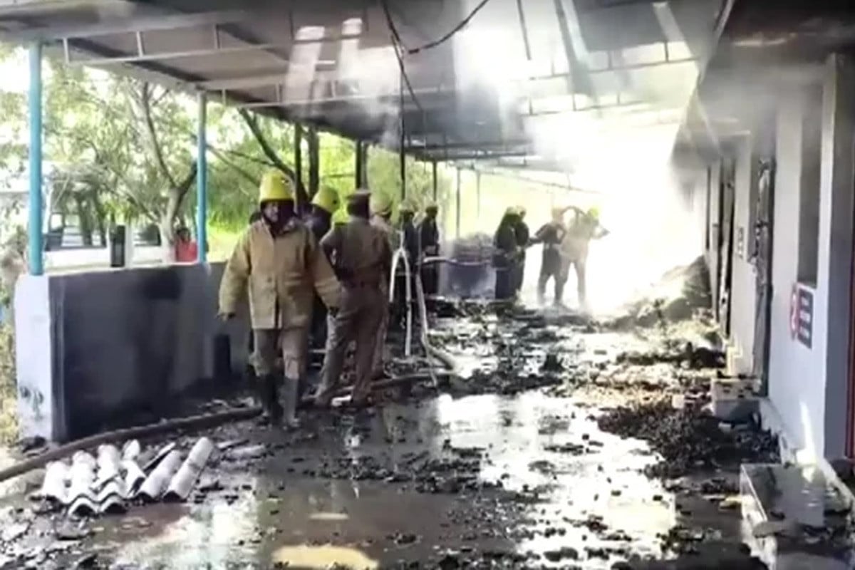 ভারতে বাজি তৈরির কারখানায় ভয়াবহ বিস্ফোরণ, নিহত ২০