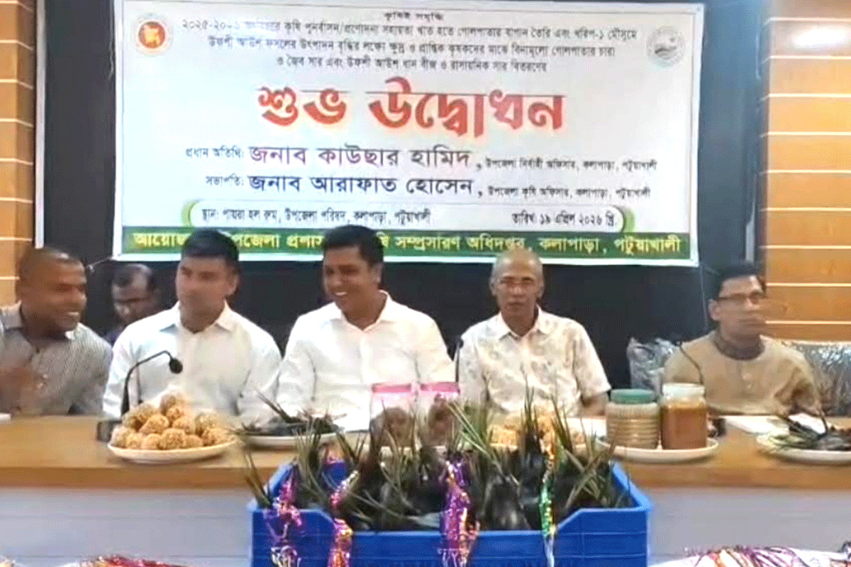 কলাপাড়ায় প্রথমবারের মতো গোলপাতার চারা বিতরণ