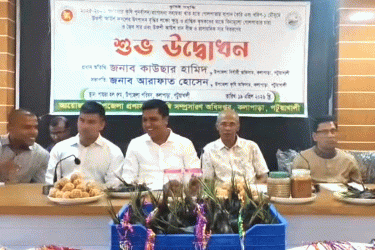 কলাপাড়ায় প্রথমবারের মতো গোলপাতার চারা বিতরণ