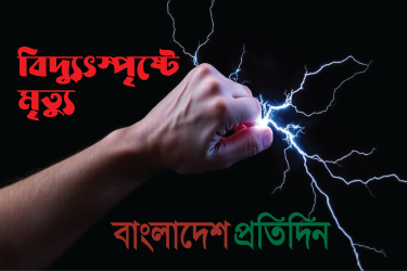 সিংড়ায় বিদ্যুৎস্পৃষ্টে দুই কৃষকের মৃত্যু