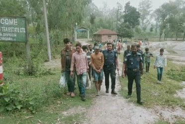 পঞ্চগড়ে ডাকাত চক্রের ১০ সদস্য আটক