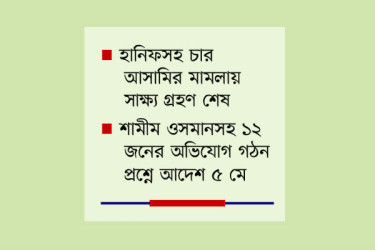 আমার ভাতিজাকে হত্যা করেছে জিয়াউল
