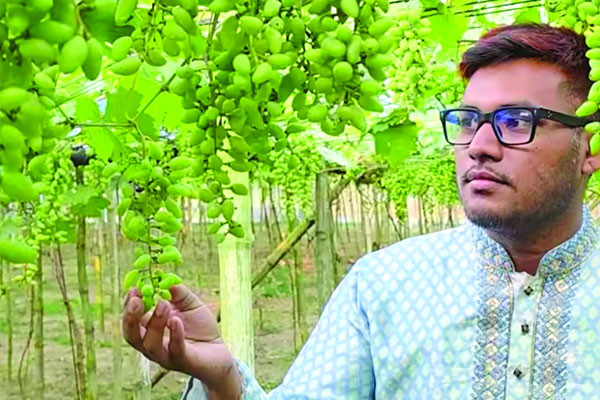 আঙুরে ভাগ্যবদল