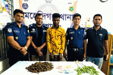বরিশালে বাড়ির আঙিনায় টবে গাঁজা চাষ, কারবারি কারাগারে