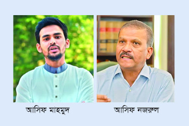 দুই আসিফের আক্রোশের শিকার ক্রিকেট