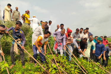 কোটালীপাড়ায় খালের কচুরিপানা পরিষ্কার করলেন সংসদ সদস্য এস এম জিলানী