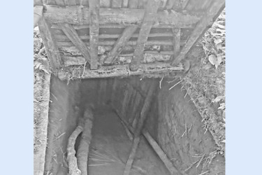 নির্জন বাগানে সুড়ঙ্গ