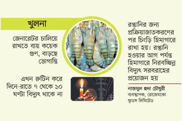 লোডশেডিংয়ে হুমকিতে হিমায়িত চিংড়িশিল্প