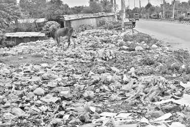 আবর্জনার দুর্গন্ধ, হুমকিতে জনস্বাস্থ্য