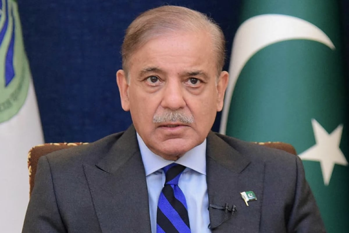 মধ্যপ্রাচ্যে শান্তি প্রতিষ্ঠার প্রচেষ্টা অব্যাহত: শাহবাজ শরিফ