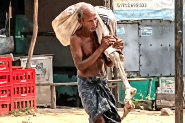 টাকা তুলতে বোনের কঙ্কাল নিয়ে ব্যাংকে হাজির ভাই