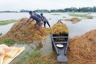 সিলেটের ৪ জেলায় বন্যার শঙ্কা, নদীর পানি বিপদসীমার ওপরে