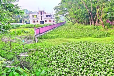 গোপালগঞ্জের জিয়া খাল অস্তিত্ব হারাতে বসেছে