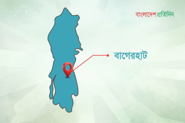 বাগেরহাটে বজ্রপাতে চার গরুর মৃত্যু