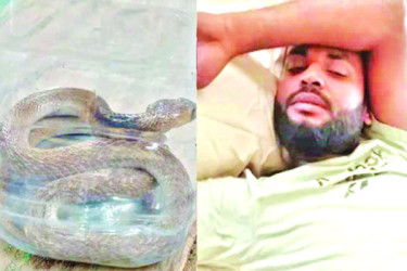 ছোবল দেওয়া গোখরা নিয়ে হাসপাতালে যুবক