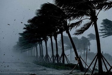 সন্ধ্যার মধ্যে চার জেলায় ঝড়-বৃষ্টির শঙ্কা, সতর্কসংকেত জারি