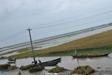 কিশোরগঞ্জের হাওরে তলিয়ে যাচ্ছে ফসলি জমি