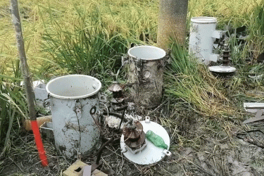 মুন্সীগঞ্জে সেচ পাম্পের তিনটি ট্রান্সফরমার চুরি, ধান চাষ নিয়ে শঙ্কায় কৃষকরা