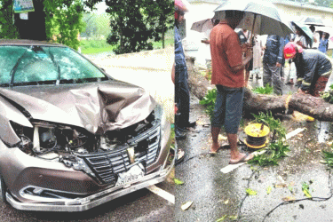 চলন্ত প্রাইভেটকারের ওপর পড়ল শতবর্ষী আমগাছ