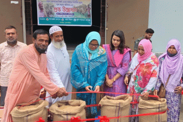 আখাউড়ায় বোরো মৌসুমে সরকারি দরে ধান সংগ্রহ উদ্বোধন
