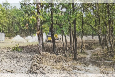 ভাওয়াল উদ্যানে ভাগাড় নির্মাণে হাইকোর্টের নিষেধাজ্ঞা