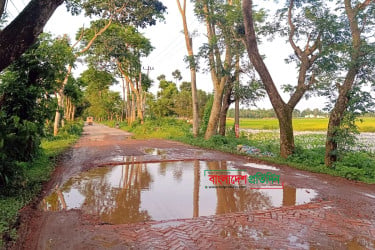 ভাঙতে ভাঙতে বিশ্বনাথ ‘বাইপাস’ এখন মরণফাঁদ
