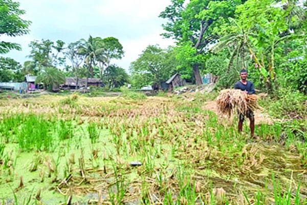 নোনাপানিতে কান্না