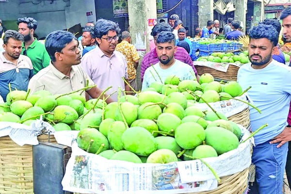 বাজারে সাতক্ষীরার আম
