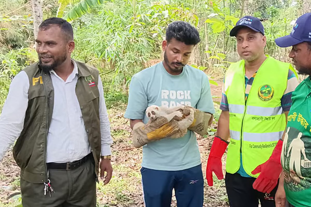 খাগড়াছড়িতে জখম অবস্থায় বিপন্ন লজ্জাবতী বানর উদ্ধার