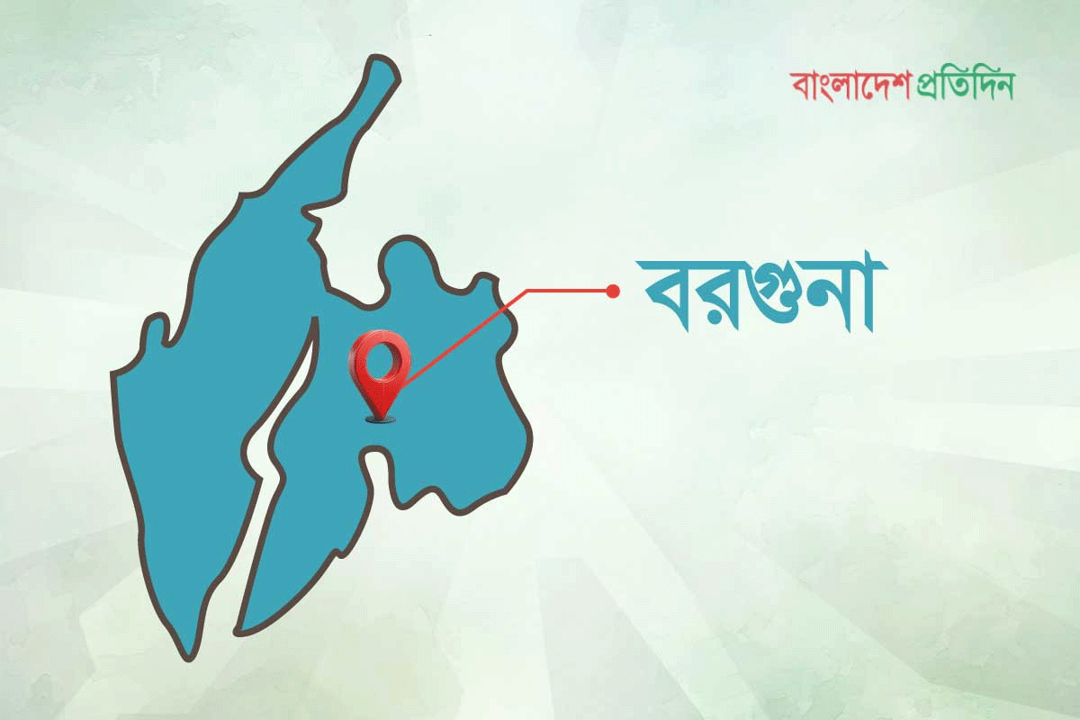 বৃষ্টিতে বরগুনায় মুগডালে বড় ক্ষতির আশঙ্কা