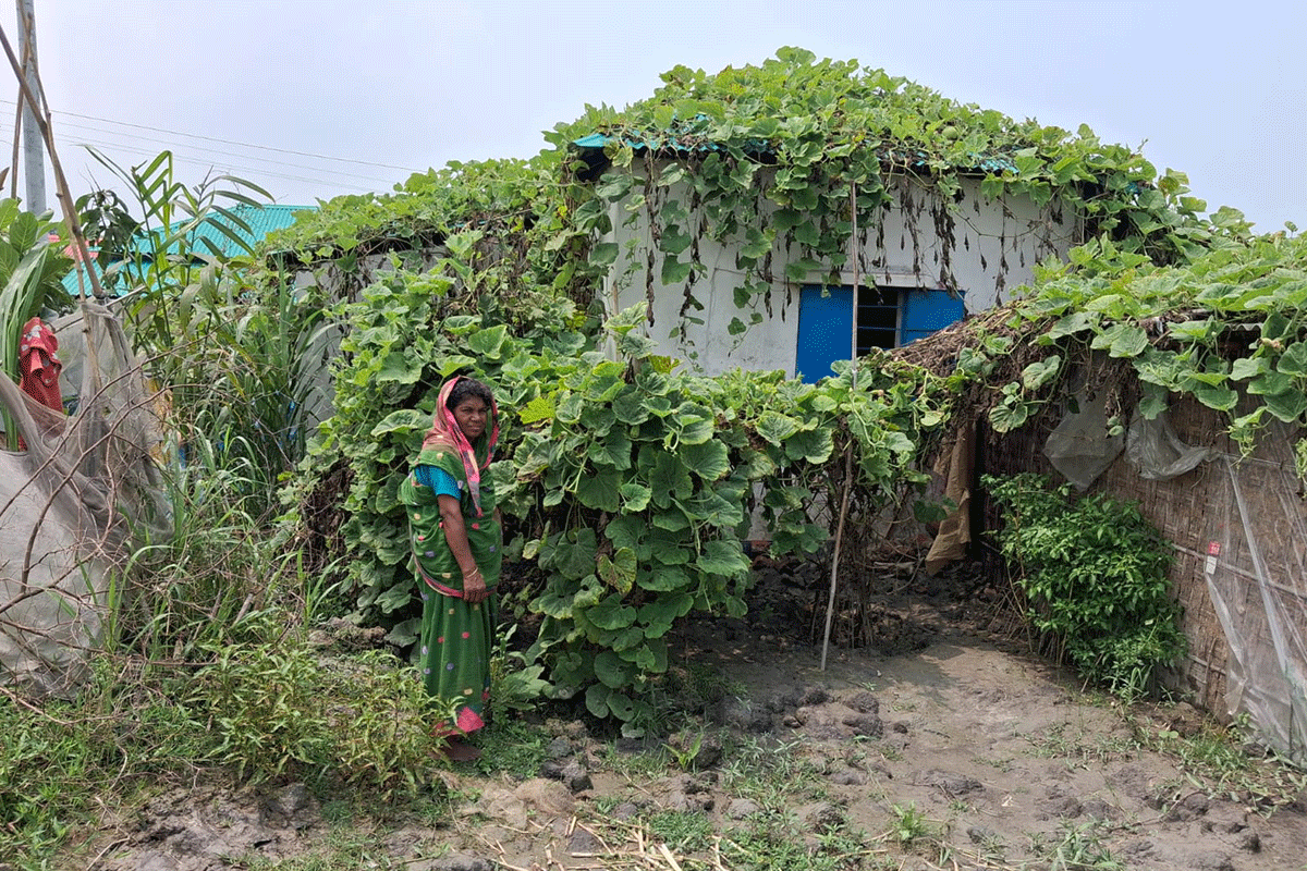 সল্লারবিলের আশ্রয়ণ প্রকল্পের ৪৩০ পরিবার এখন সবুজ স্বর্গে