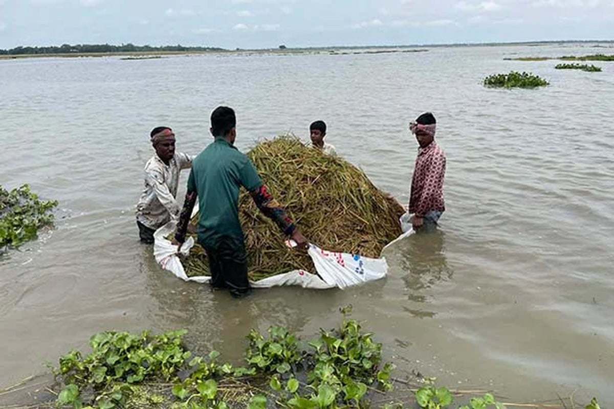 হাওরে বন্যার উন্নতি হতে পারে ‘তিন দিনের মধ্যে’