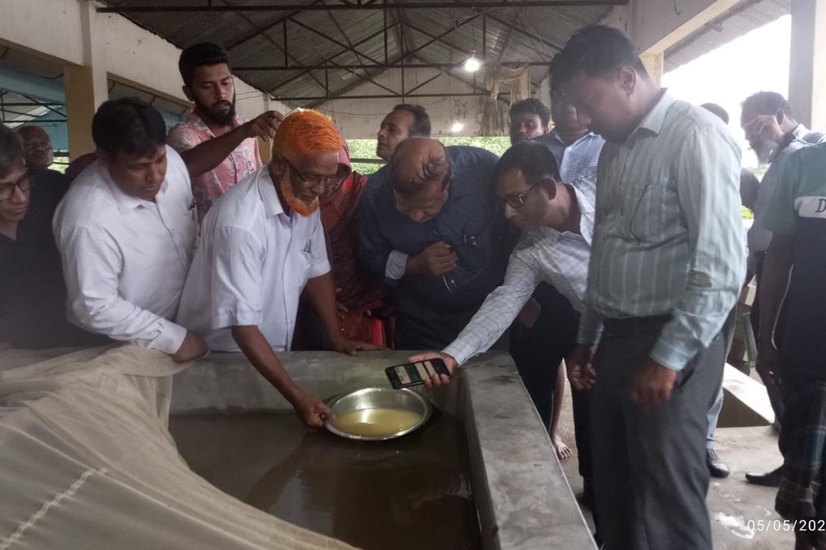 হালদাপাড়ে উৎসবের আমেজ
