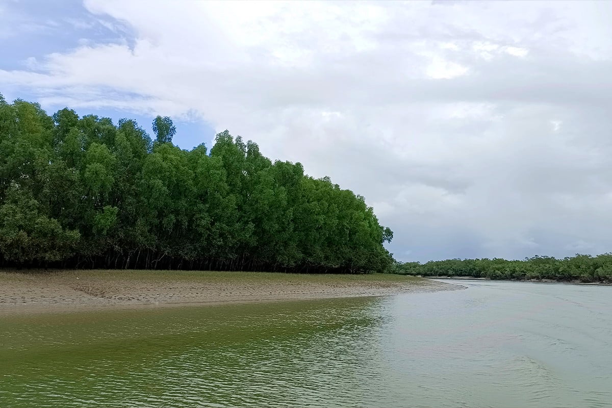 সুন্দরবনে দুই দিনে ২২ জেলে অপহরণ, উপকূলে আতঙ্ক