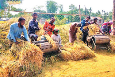 উত্তরে আনন্দ