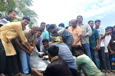 সুবর্ণচরে নদীভাঙন রোধে প্রতিরক্ষামূলক কাজের উদ্বোধন করলেন এমপি শাহজাহান