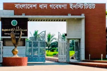 ধান গবেষণা ইনস্টিটিউট ডিজি নিয়োগের দু'দিন পরেই প্রজ্ঞাপন বাতিল