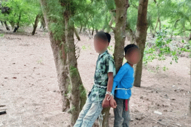 রাঙ্গাবালীতে সহোদর শিশুকে গাছে বেঁধে নির্যাতন, থানায় অভিযোগ