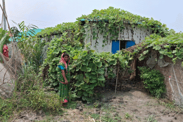 সল্লারবিলের আশ্রয়ণ প্রকল্পের ৪৩০ পরিবার এখন সবুজ স্বর্গে