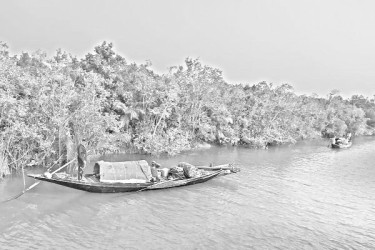 সুন্দরবনে ৩৩ জেলে অপহৃত
