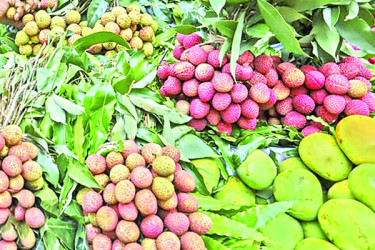 আম লিচুর দাম আকাশছোঁয়া