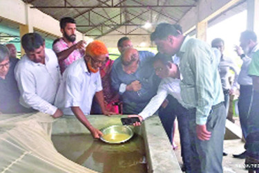হালদাপারে  পোনা বিক্রি ঘিরে উৎসব