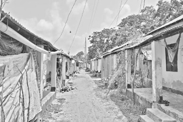 মাদক কারবারিদের ডেরা আশ্রয়ণের ঘর