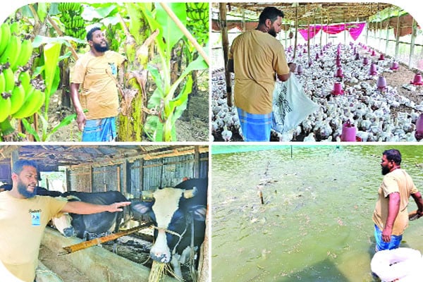 কৃষিতেই ভাগ্য বদল
