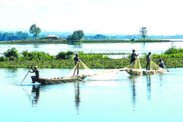 কাপ্তাই হ্রদে মাছের মেলা
