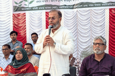 সুন্দরীসহ অনেক গাছ মারা যাচ্ছে প্রাকৃতিক সুরক্ষার অভাবে: পরিবেশ প্রতিমন্ত্রী